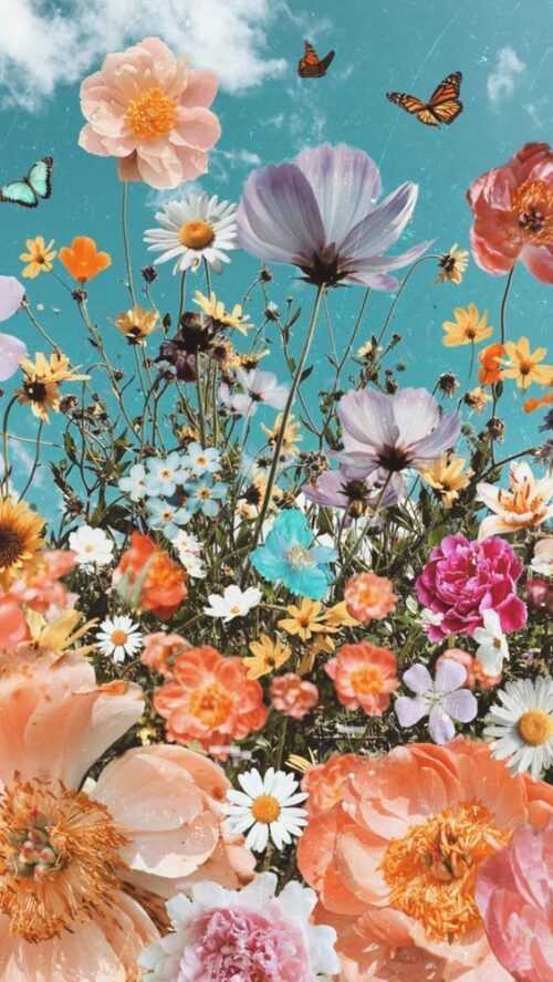 Springtime Iphone Wallpaper