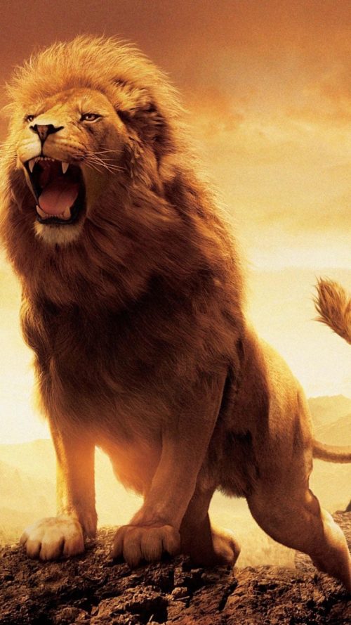 Lion Roaring s Wallpaper