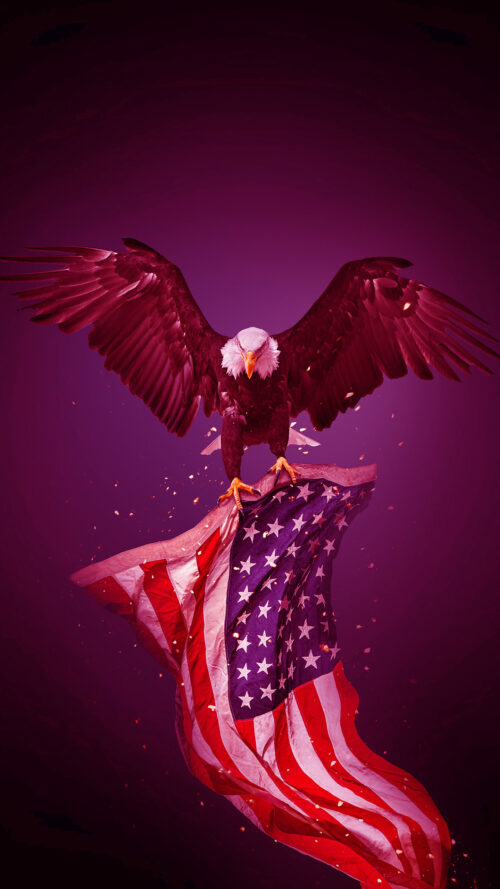 American flag Wallpaper