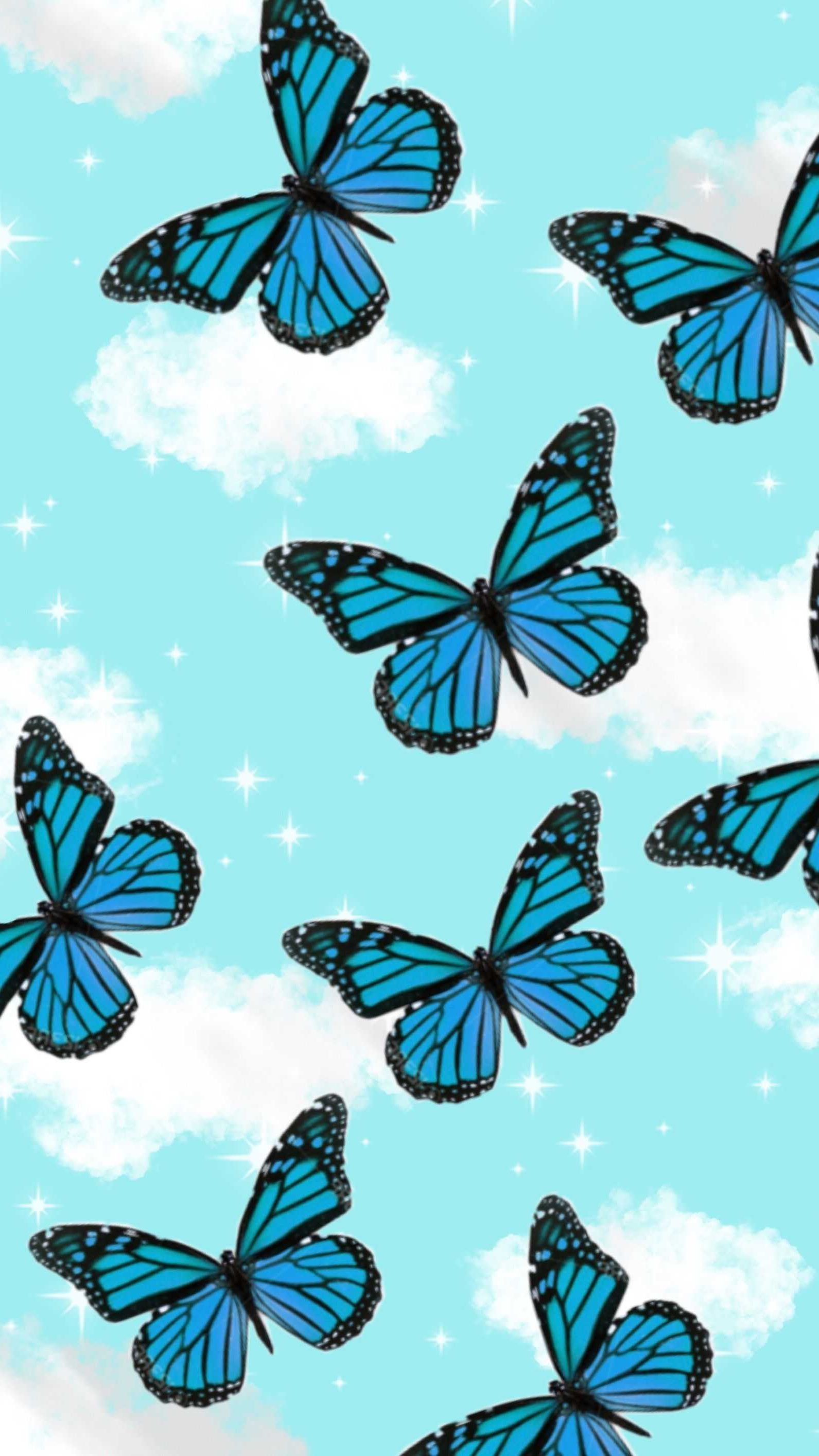 Blue Butterfly Wallpaper Enjpg