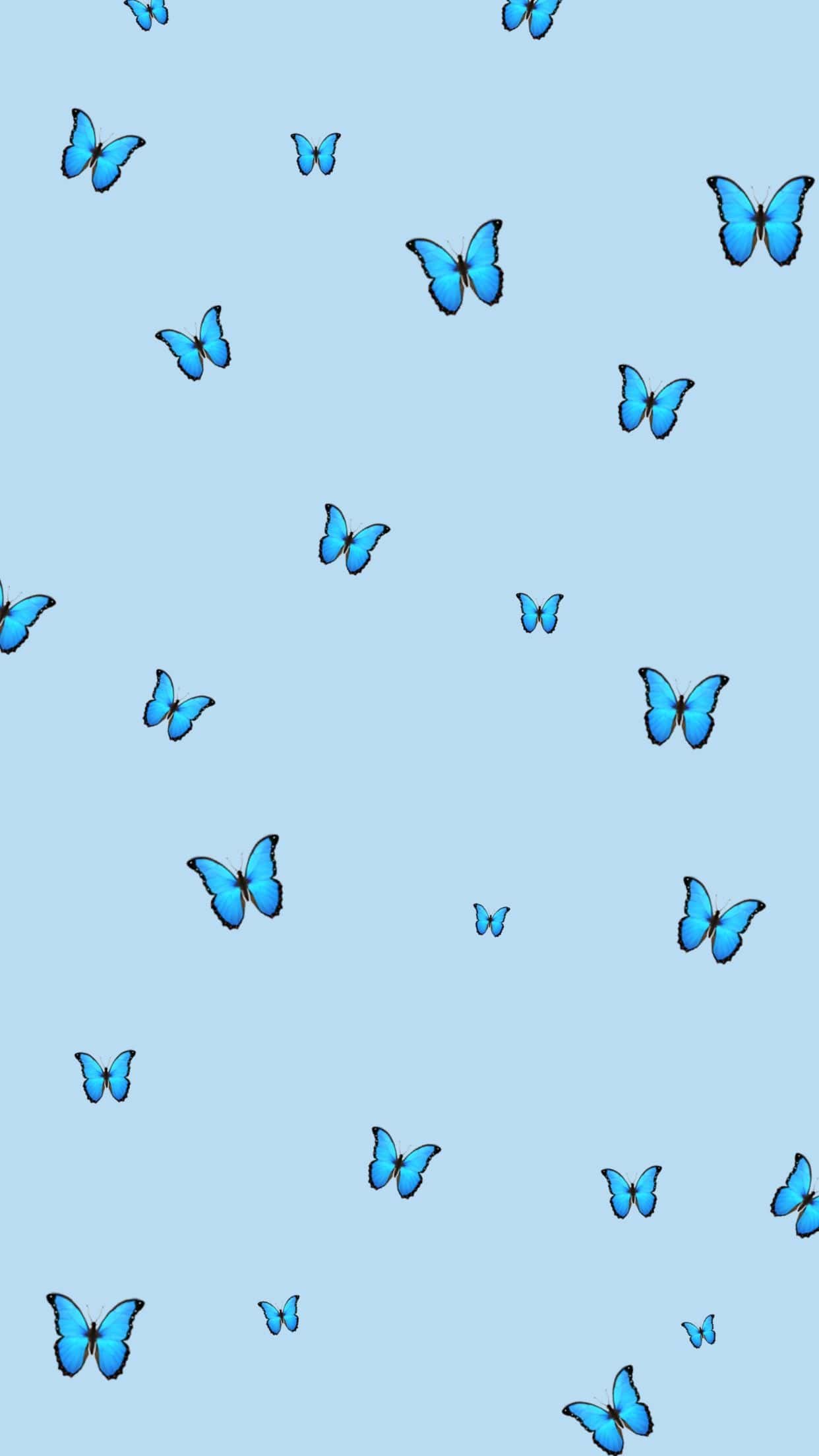 Butterfly Background Cheap Sale, SAVE 51%.