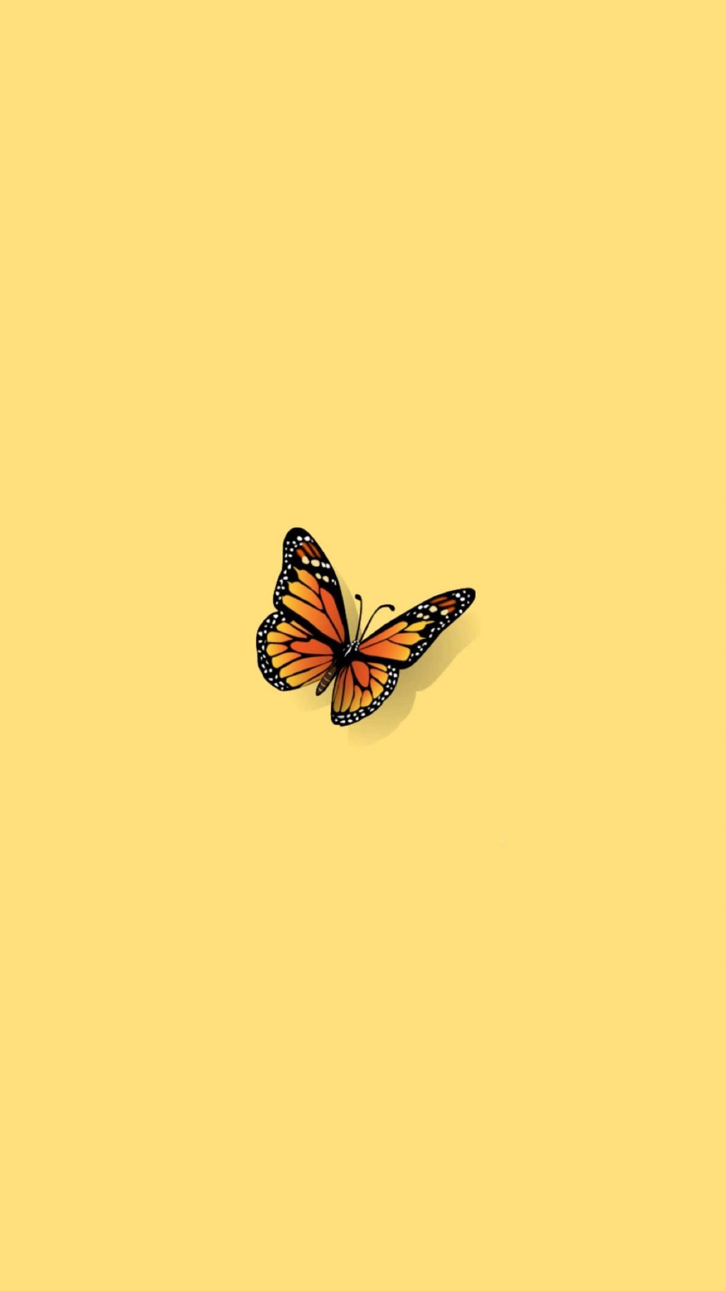 Butterfly Aesthetic Wallpaper - EnJpg