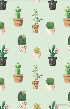 Cactus Background Wallpaper