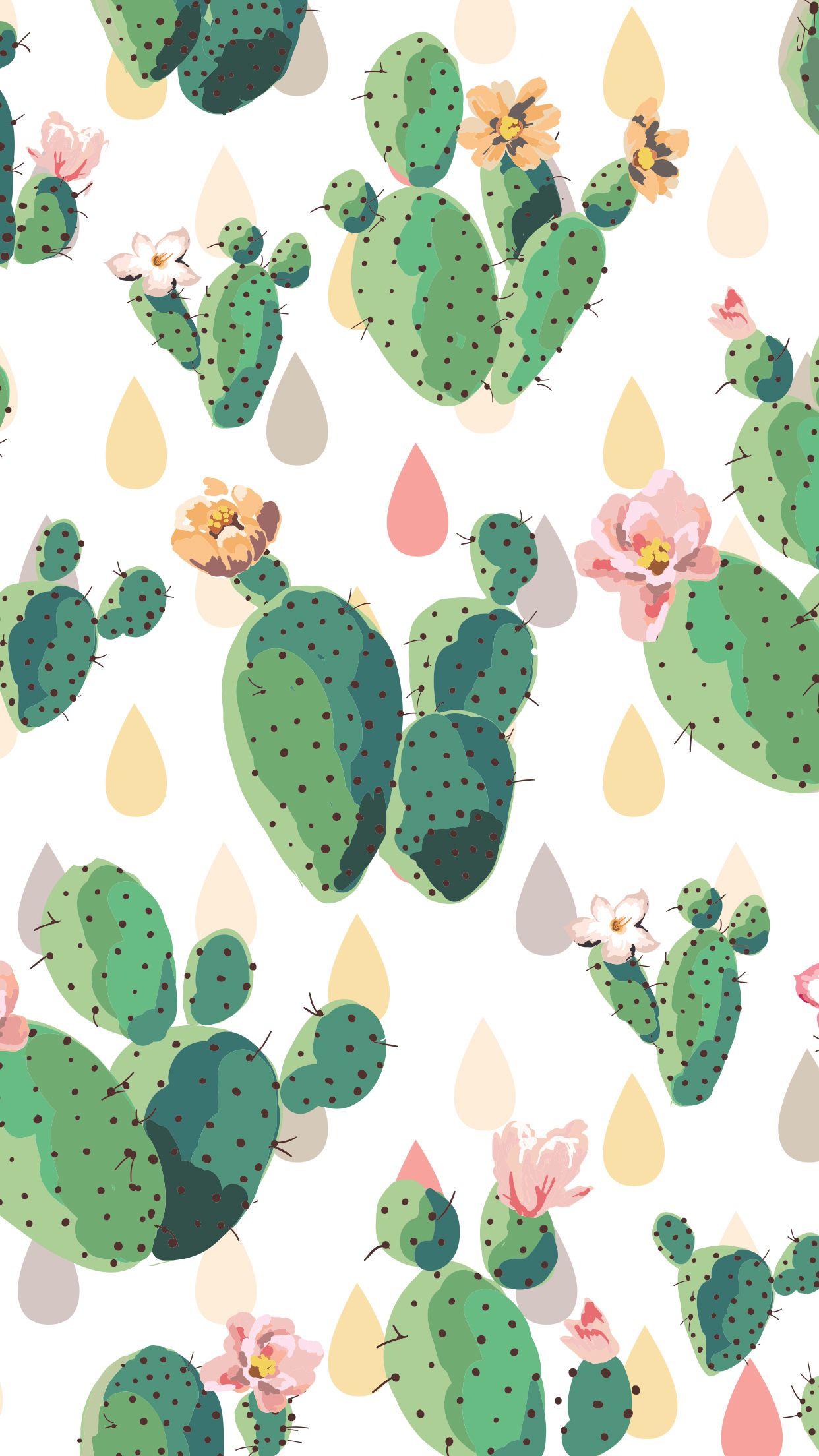 Cactus Background Wallpaper - EnJpg