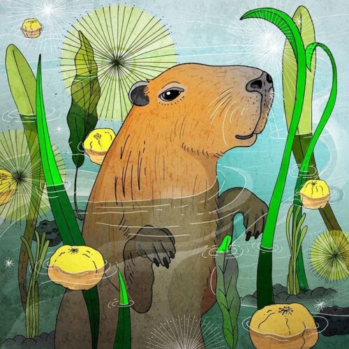 Capybara Wallpaper