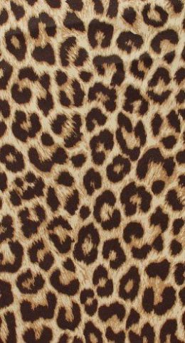 Cheetah Print Wallpaper