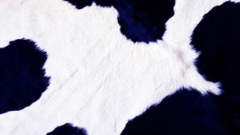 Cow Print Wallpaper