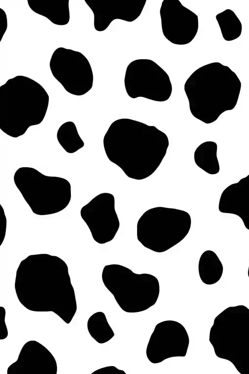 Cow Print Iphone Wallpaper