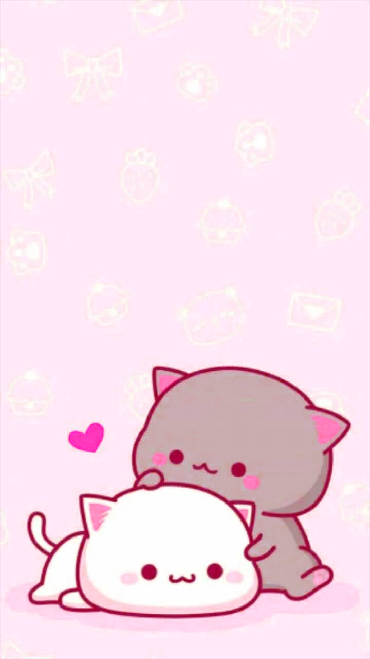 Cute Cat Wallpaper - EnJpg