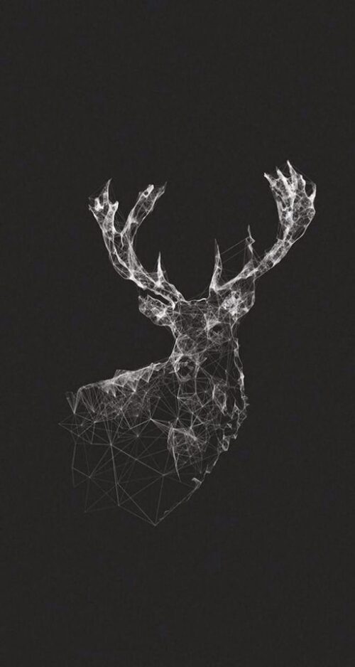 Deer Wallpaper