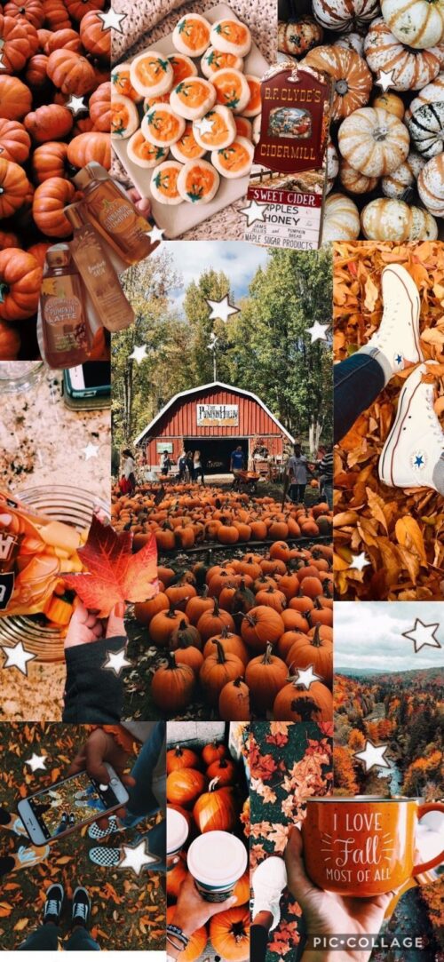 Fall Collage Wallpaper