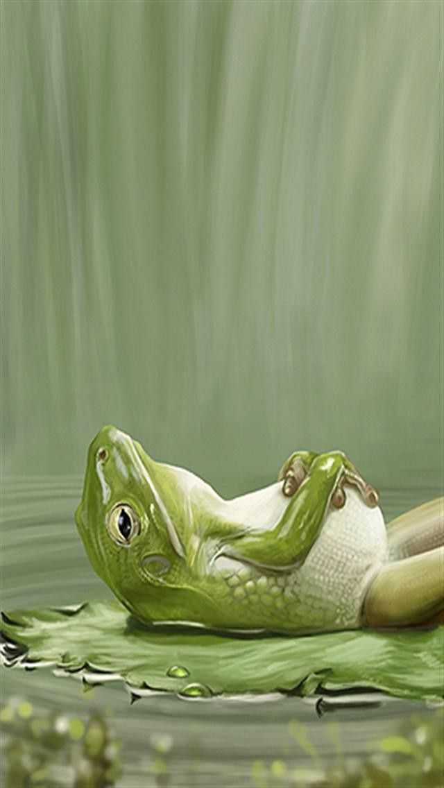 Frog Wallpaper - EnJpg