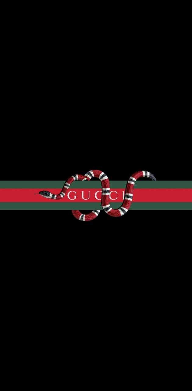 Supreme nad Gucci, supreme, guci, HD phone wallpaper