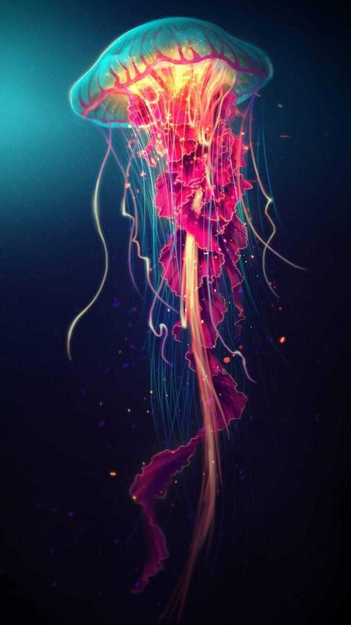 Jellyfish Wallpaper - EnJpg