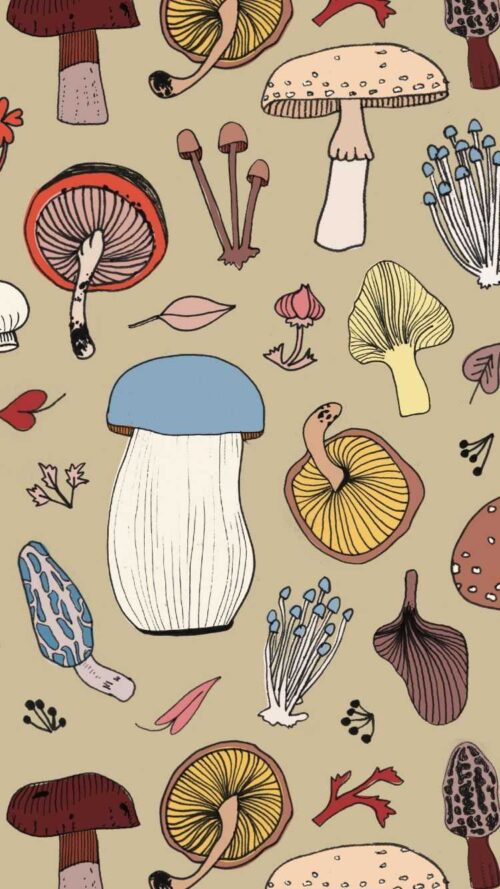 Mushroom Wallpaper