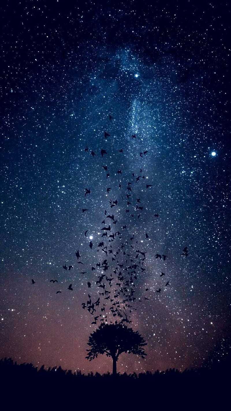 Night sky Galaxy Wallpaper