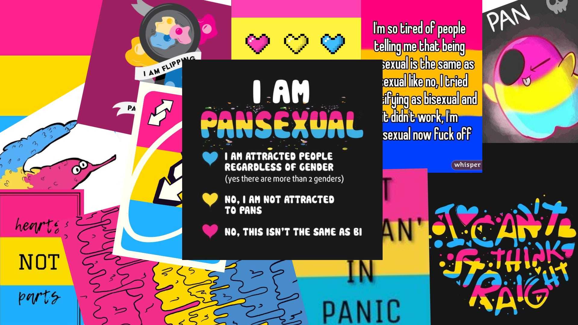 Pansexual Wallpaper Download. 