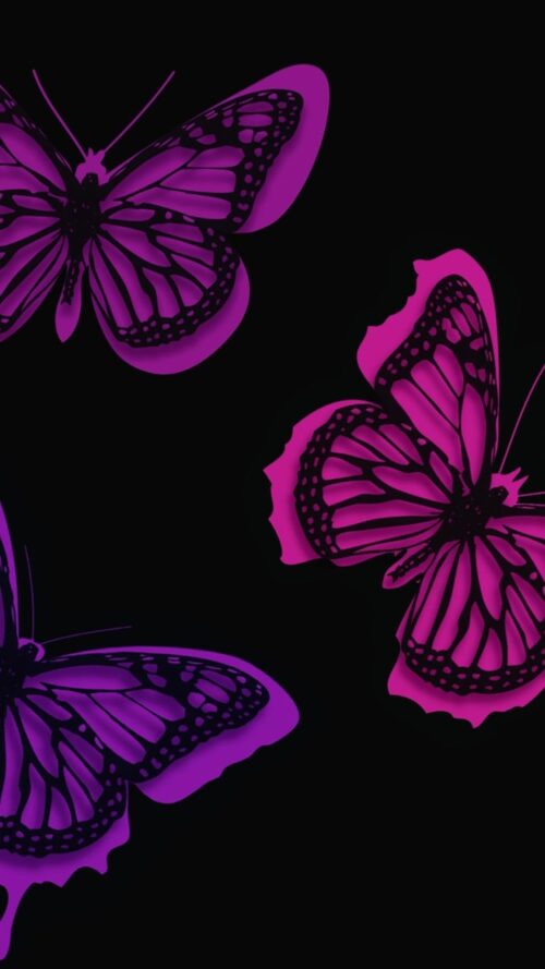 Purple Butterfly Wallpaper