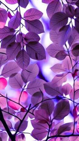 Purple Hd Wallpaper