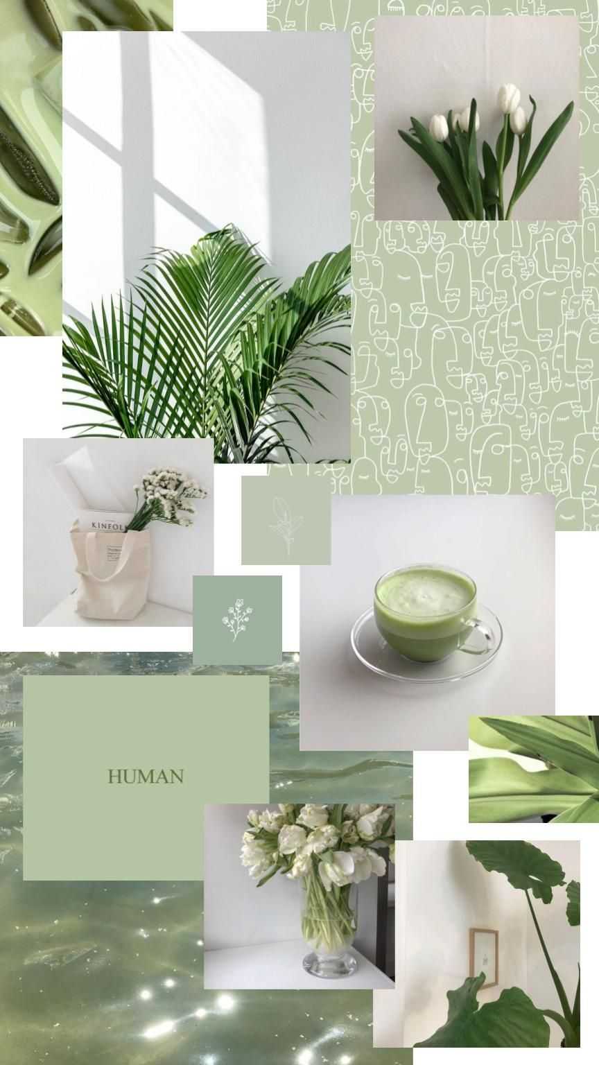 Aesthetic Sage Green Collage Wallpaper Aesthetic Sage Background ...