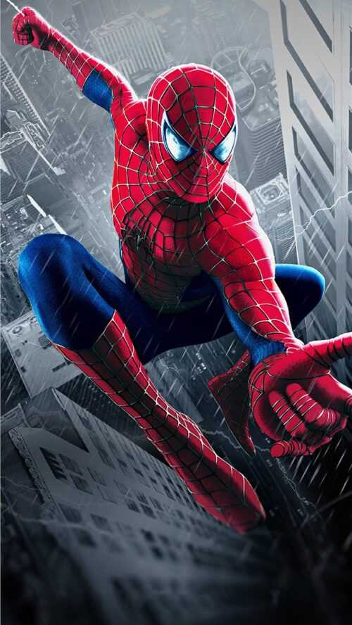 Spider Man Phone Wallpaper