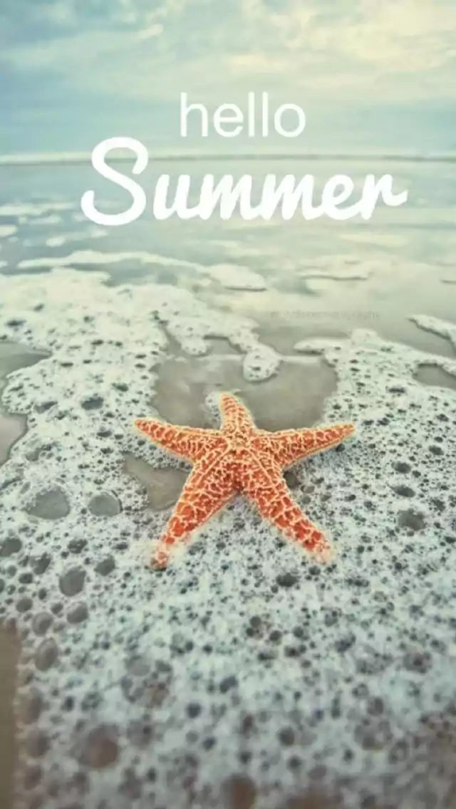 Summer Iphone Wallpaper