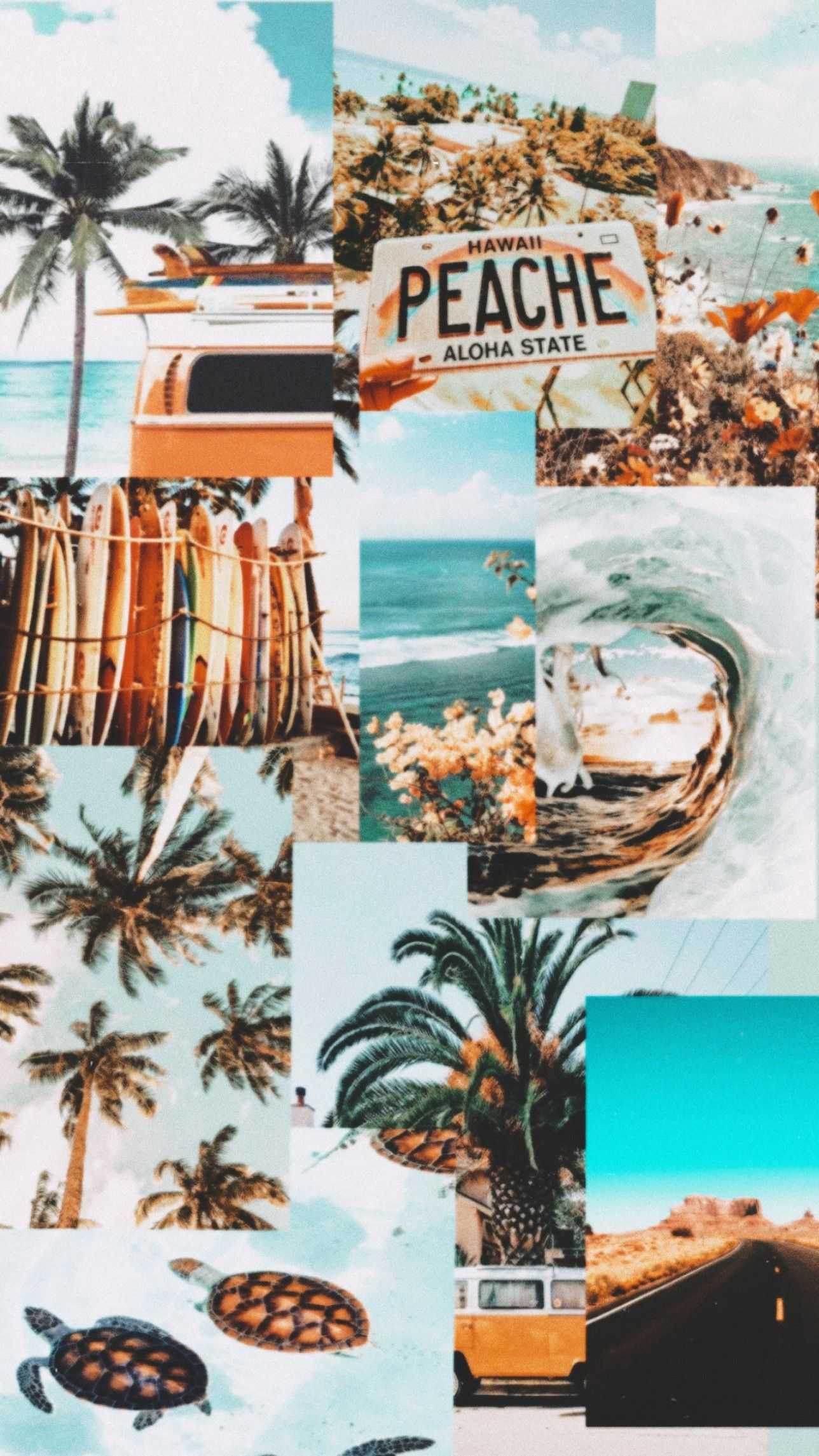 Summer Vibes Wallpaper - EnJpg