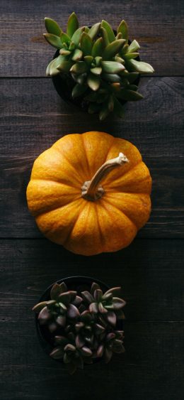 Thanksgiving For iphone Wallpaper