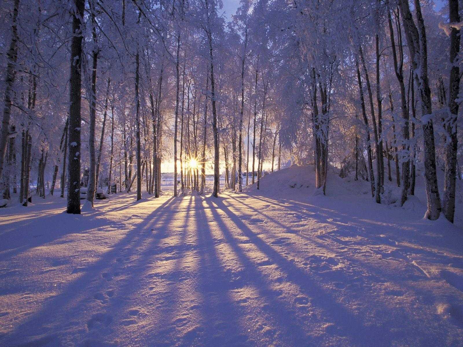 Featured image of post Winter Hintergrundbilder Kostenlos Bilder finden die zum begriff winter passen