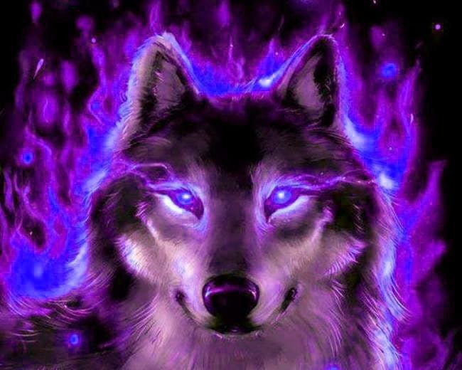 Wolf Wallpaper - EnJpg